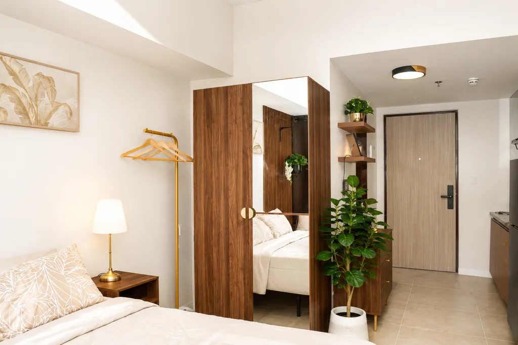Mirrored wardrobe and the entrance hallway